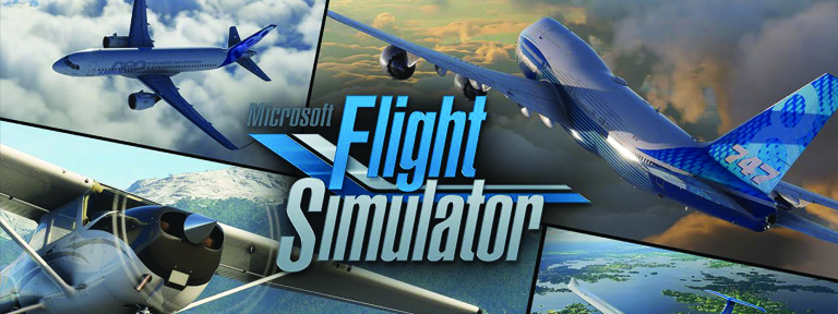 Microsoft Flight Simulator